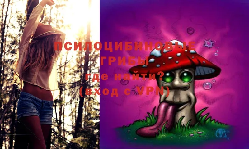 Галлюциногенные грибы Magic Shrooms  Вуктыл 